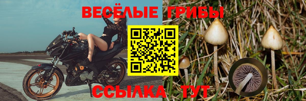 Псилоцибиновые грибы Magic Shrooms  Галлюциногенные грибы MAGIC MUSHROOMS  Киселёвск  Вход с VPN 